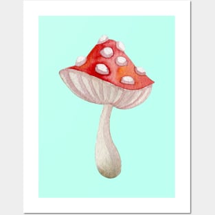 Mushroom Master Fly Agaric Posters and Art